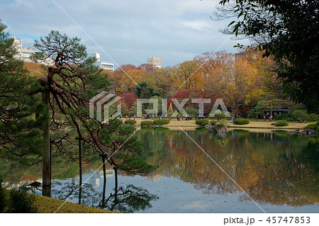 六義園の紅葉と青空 六義園の紅葉と青空 45747853