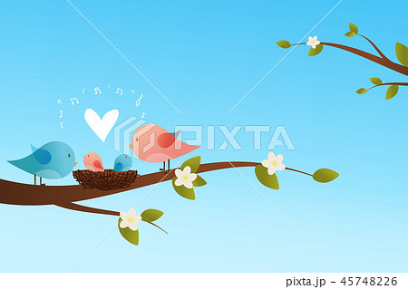 Cute birds family Vector illustration 45748226