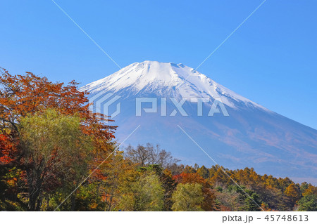 【山梨県】秋の山中湖畔の風景 45748613
