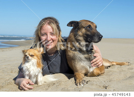 girl and dogs on the beach girl and dogs on the beach 45749143