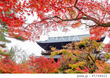 秋の南禅寺 45749422