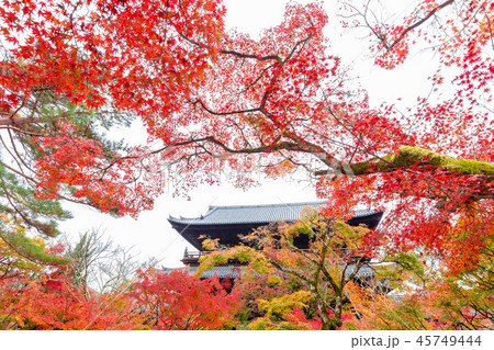 秋の南禅寺 45749444