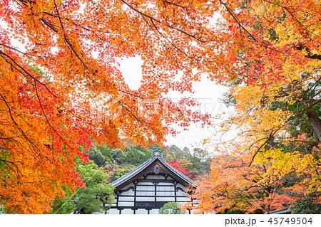 秋の南禅寺 秋の南禅寺 45749504