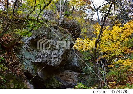 布引観音　参道 45749702