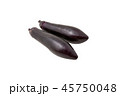 Two  eggplants on a white background 45750048