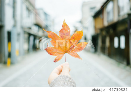 街中で見つけた秋 45750325