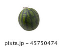watermelon on a white background 45750474