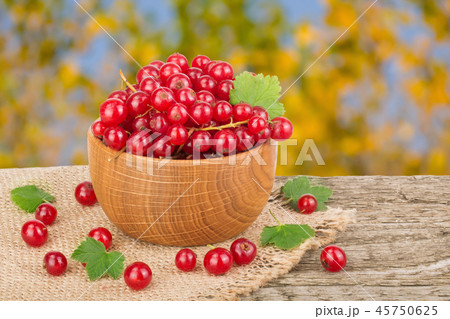 Red currant berries in wooden bowl on wooden table with blurry garden background Red currant berries in wooden bowl on wooden table with blurry garden background 45750625