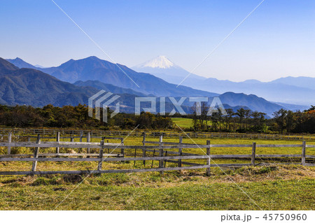 【山梨県北杜市】清里高原・清泉寮の風景 【山梨県北杜市】清里高原・清泉寮の風景 45750960