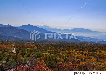 【山梨県北杜市】秋の清里高原・美し森の風景 45750976