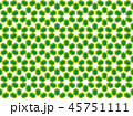 abstract pattern with a stylized hexagonal flower 45751111