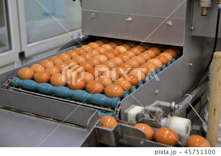 Equipment at the bakery plant 45751300
