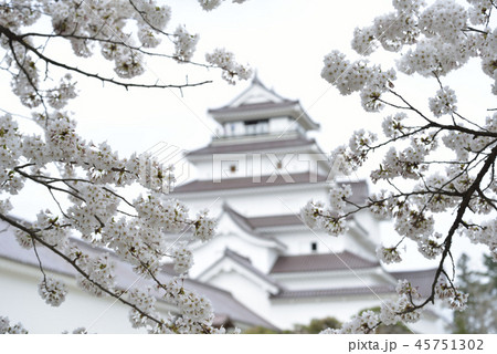 鶴ヶ城と桜 鶴ヶ城と桜 45751302