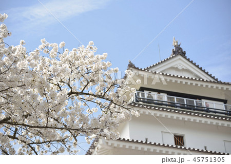 鶴ヶ城と桜 45751305