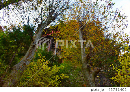 布引観音釈尊寺 観音堂宮殿 布引観音釈尊寺 観音堂宮殿 45751402