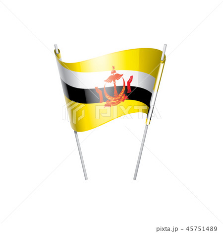 Brunei flag, vector illustration on a white background 45751489
