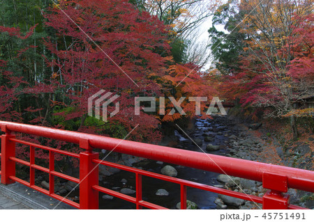 桂橋から楓橋を望む(秋の修善寺温泉) 45751491