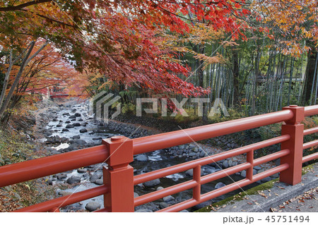 楓橋から桂橋を望む(秋の修善寺温泉) 45751494