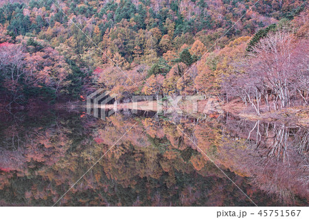 秋の椹池(山梨県韮崎市) 秋の椹池(山梨県韮崎市) 45751567