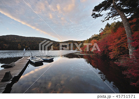 秋の白駒池 45751571