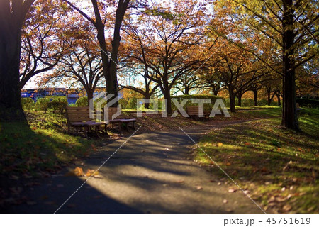 朝の公園 朝の公園 45751619