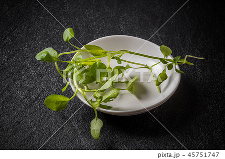 はこべら　Spring herbs(chickweed) 45751747