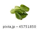 Pile of bok choy on a white background 45751850