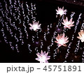 イルミネーション 足利フラワーパーク 45751891