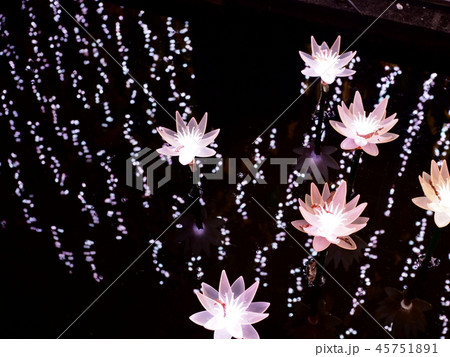 イルミネーション 足利フラワーパーク 45751891