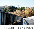 橋 紅葉 45751904