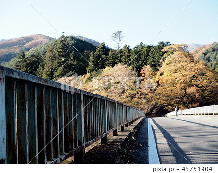 橋 紅葉 45751904