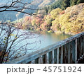 橋 紅葉 45751924
