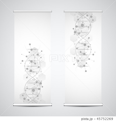 Roll up banner stands with DNA strand and molecular structure. Genetic engineering or laboratory Roll up banner stands with DNA strand and molecular structure. Genetic engineering or laboratory 45752269