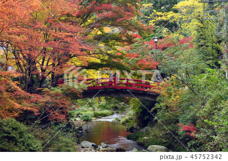 大寧寺　　紅葉 45752342