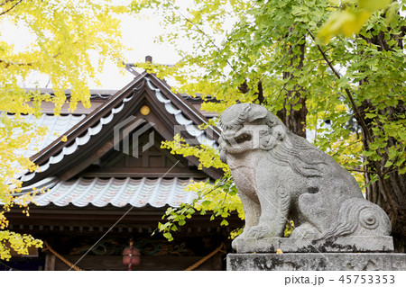 金村別雷神社　茨城県つくば市 45753353