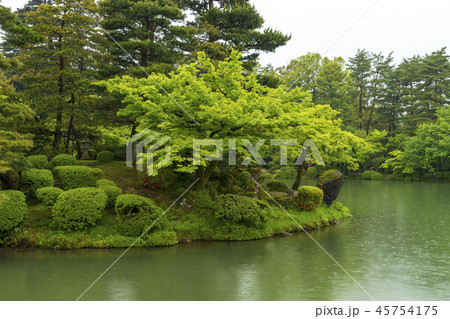 初夏の金沢 しっとりと美しい雨の兼六園 初夏の金沢 しっとりと美しい雨の兼六園 45754175