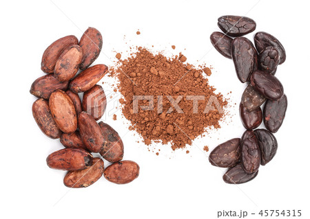 cocoa bean and cocoa powder isolated on white background top view 45754315
