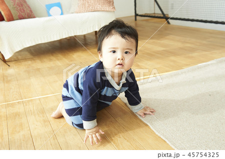 赤ちゃん　ハイハイ 45754325