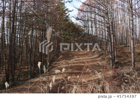 棒道　武田信玄の軍用道路　山梨県　北杜市 45754397