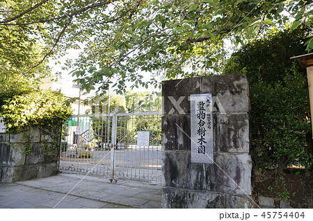 熊本城 九州 熊本城 九州 45754404