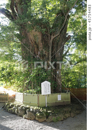 熊本城 九州 熊本城 九州 45754483