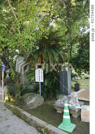 熊本城 九州 熊本城 九州 45754486