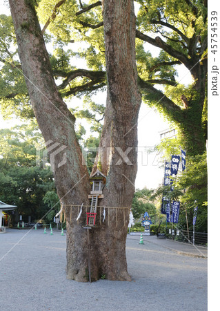 熊本城 九州 熊本城 九州 45754539