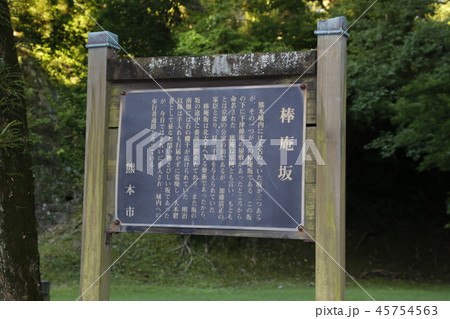 熊本城　九州 45754563