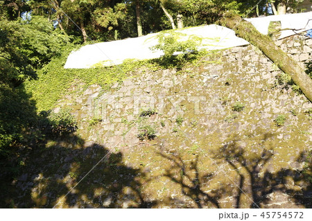 熊本城 九州 熊本城 九州 45754572