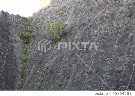 熊本城　九州 45754582