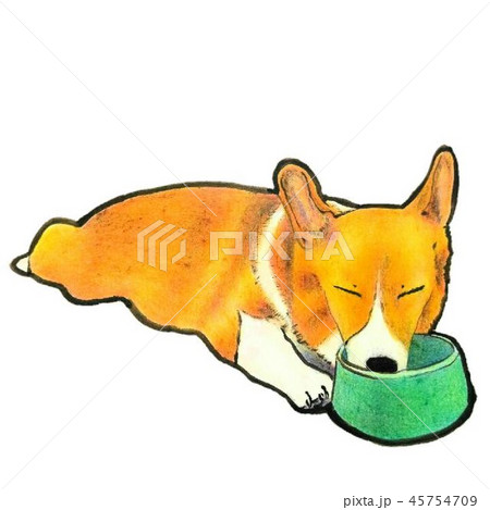 エサ箱に顔を突っ込むコーギーのイラスト素材