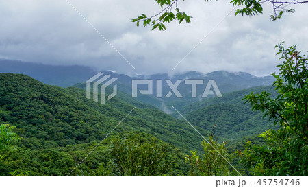 Subtropical forest and mountains-亜熱帯のかすみがかかる森と山2 Subtropical forest and mountains-亜熱帯のかすみがかかる森と山2 45754746