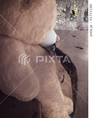 Teddy Bear ; Brown Bear doll / Sad bear doll Teddy Bear ; Brown Bear doll / Sad bear doll 45755286