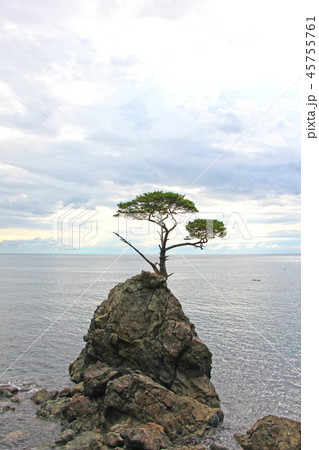 見立の一本松 45755761